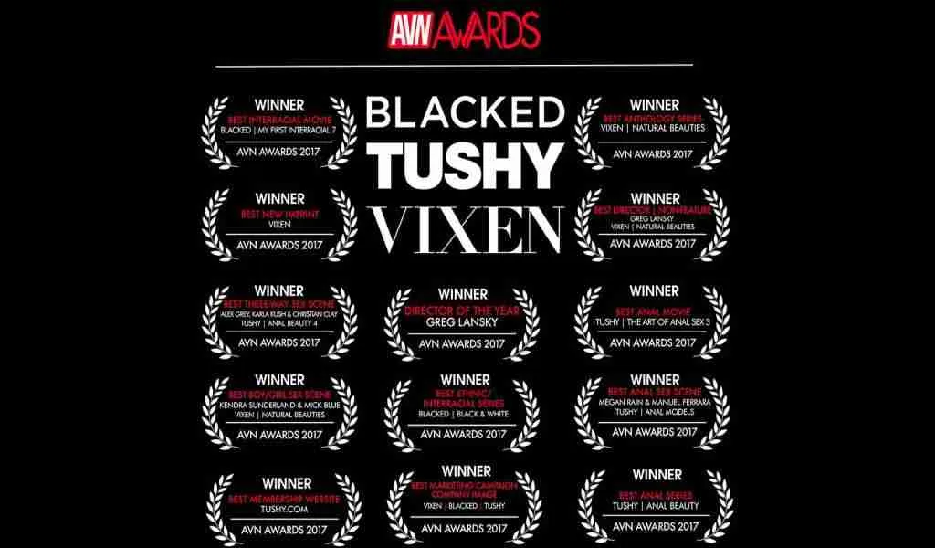 HOW TO DEFEND a Strike 3 Holdings John Doe subpoena client. 2 strike-3-holdings-blacked-tushy-vixen-awardsgraphic-for-lawsuit Strike 3 Holdings lawsuits for Blacked, Tushy, Vixen adult films